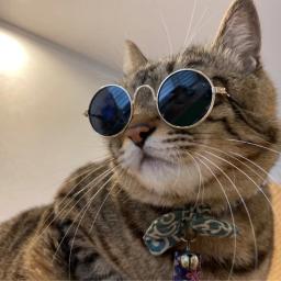 レオタロウぱらだいす