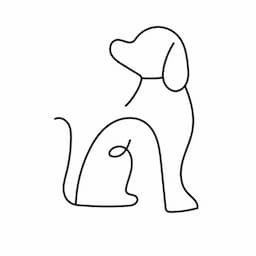 毎日わんちゃん日記🐶