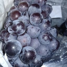 7日間の灼熱ドライブ