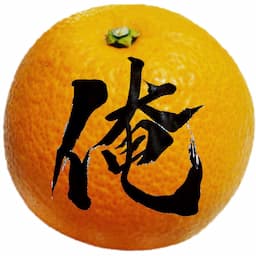 俺の日曜日【和歌山グルメ巡り】