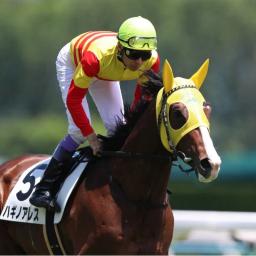 競馬YouTuber比較チャンネル