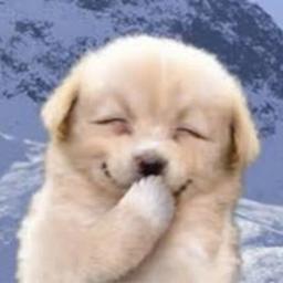 アニメ物語工房