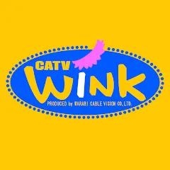 蕨ケーブル「ウインクチャンネル」