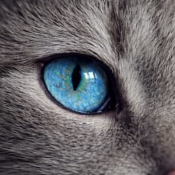 雑学と衝撃のお部屋