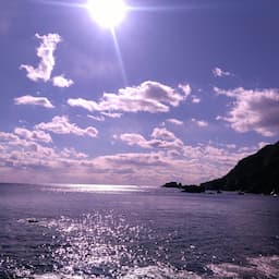 チャレンジ-challenge-