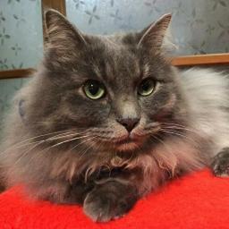 あっくんチャンネル