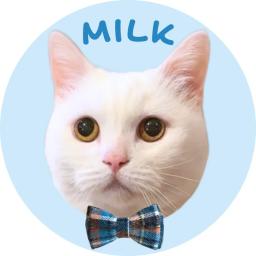 ミルクちゃんねる