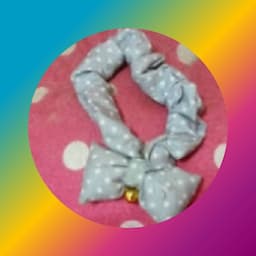 猫のとまパパちゃんねる