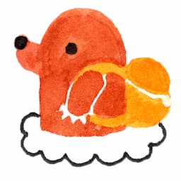 岩屋公園キャンプ場