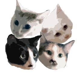 いつも通り、猫なんです。　Tokiniha TotoNico Moccomoco