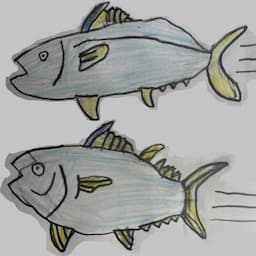 まぐろブラザーズ