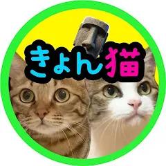 きょんの猫部屋　〜Cheerful cat room〜