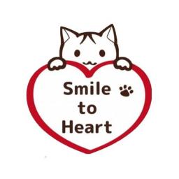 Smile to Heart 【譲渡型保護猫カフェ】ねこまる