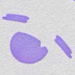 ふぉーとないとしてます