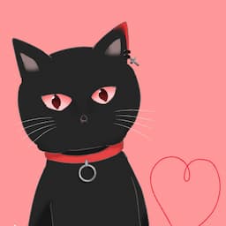 KAI猫の日常【KAITOストーリー切り抜きチャンネル】