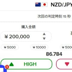 theオプション攻略法