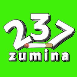 ずみな実況日記(zumina)