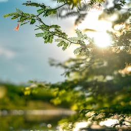 大阪府への旅行【感動★総集編】