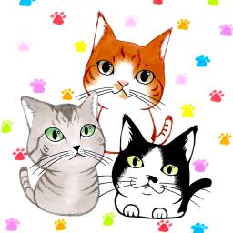 ねこのたまごとあくあ