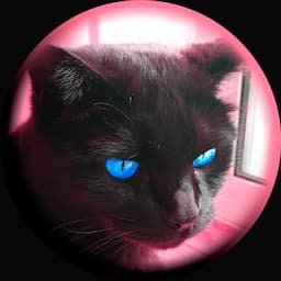 KTI【かいかいのテクノロジー&情報】