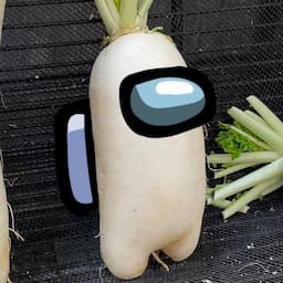 さじたりあす@大根の妖精