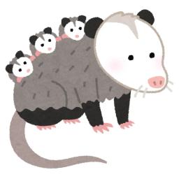 オポッサム