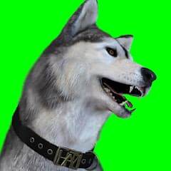 【がたがた】バーチャルFPS犬