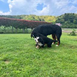 おっちゃんの日常