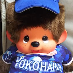 横浜ザイバツの株式投資法