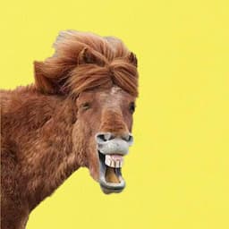 動物ふしぎ発見