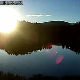 蓼科湖畔 蓼の花ライブカメラ