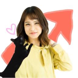 ゆかてぃん | FXスイングトレーダー