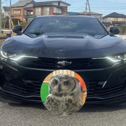 American musclecar owlman アメ車フクロウおじさん