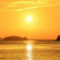 浪人ライオン🦁YT