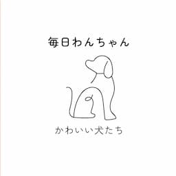 毎日わんちゃん動画🐶
