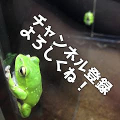 【ピアノ演奏】まどろみちゃんねる