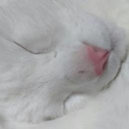 こじろー大衆酒場