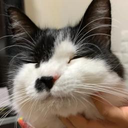 たーちゃん☆チャンネル(Tachan⭐︎channel)