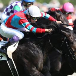 競馬データ検証チャンネル