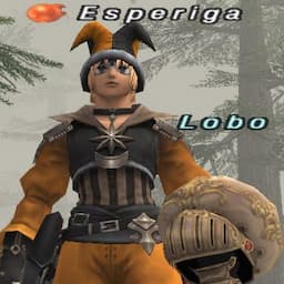 伊賀さんの動画