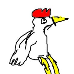 鳥類ニワトリの巣