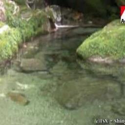 ライブカメラ見ませんか 【 Shingenn しんげん 】