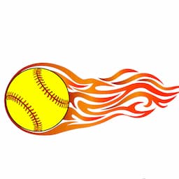 黒かめソフトボールチャンネル　Black turtle  softball