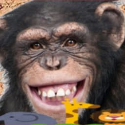 でんおこ DEN_OKO