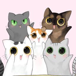 ねこほうチャンネル